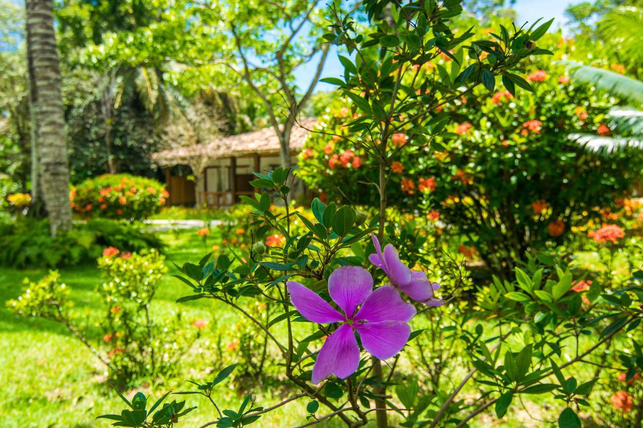 Manacá Pousada Parque Porto Seguro Exterior foto